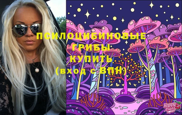 spice Алексин