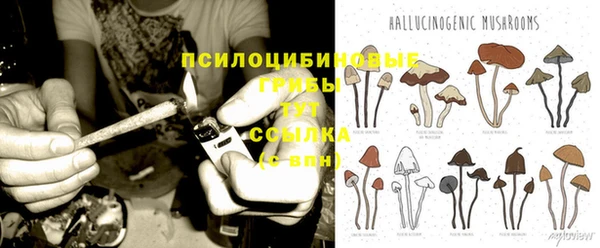 гидропоника Алексеевка