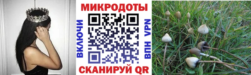 Галлюциногенные грибы MAGIC MUSHROOMS Себеж